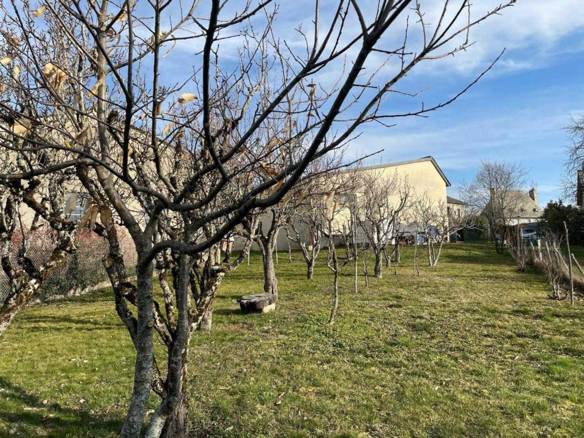 Charmante Maison 3 Chambres Avec Jardin, Cheminee, Parking, Proche Conques Et Activites Plein Air - Fr-1-742-168 Cassaniouze Dış mekan fotoğraf